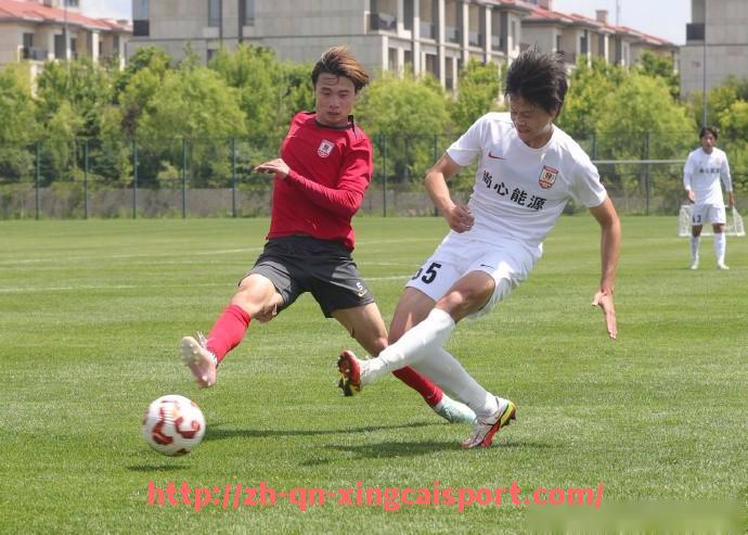 杏彩体育-法甲俱乐部的文化底蕴与球迷情怀展示