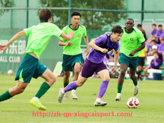 杏彩体育-法甲历史争议事件盘点及其影响分析