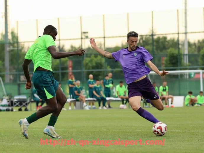 杏彩体育-休斯敦火箭队2025赛季战绩走势与排名变化